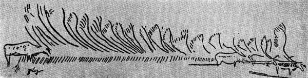 2б. Стадо оленей. Резьба по кости орла из грота Мэрии в Тэйжа (Франция, департамент Дордонь). Верхний палеолит.