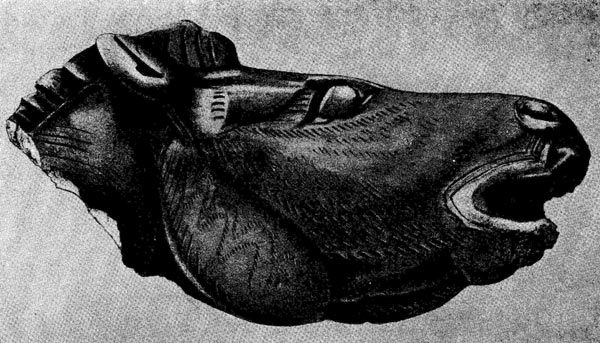 За. Голова лошади из пещеры Мас д'Азиль (Франдия,   департамент  Арьеж).   Рог северного оленя. Длина 5,7 см.   Верх-    ний   палеолит.   Собр.   Э.  Пьетт (Франция).