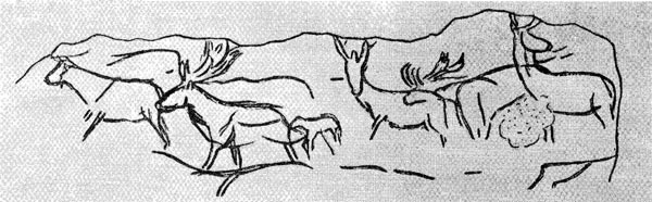 3б . Стадо оленей. Рисунок на камне из Лимейля (Франдия, департамент Дордонь).
