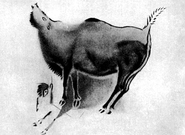 6.  Ревущий  бизон.   Живописное изображение в Альтамирской пещере.