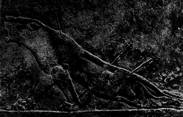 32.   Раненая   львица.     Рельеф     из   дворца Ашшурбанипада в Ниневии. Алебастр. Середина 7 в. до н. э. Лондон. Британский музей.