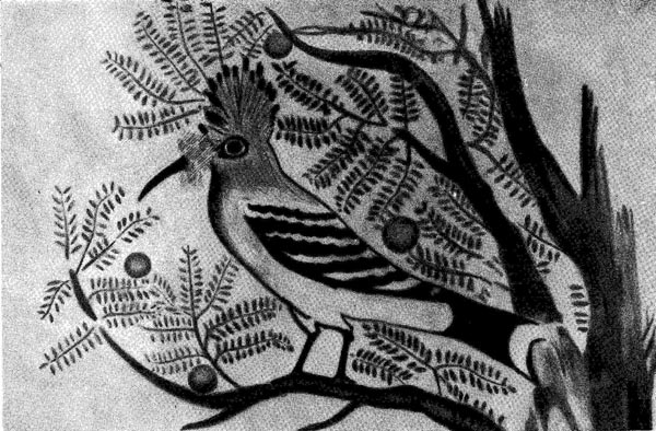 57а. Удод. Деталь росписи гробницы номарха Хнумхотепа II в Бени-Хасане. ХП династия. 20 в. до н. э.