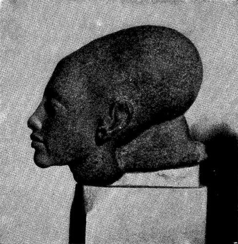 89а. Голова дочери Эхнатона. XIII династия.14 в. до н. э. Каир. Музей. 