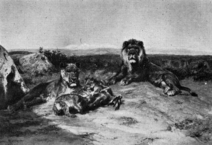 20 LIONS. 1895