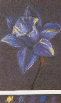 Цветок в холодной гамме на фиолетовом фоне. Пастель