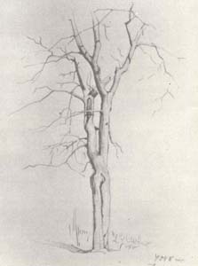 С. Никиреев. Сухое дерево. Карандаш. 1948